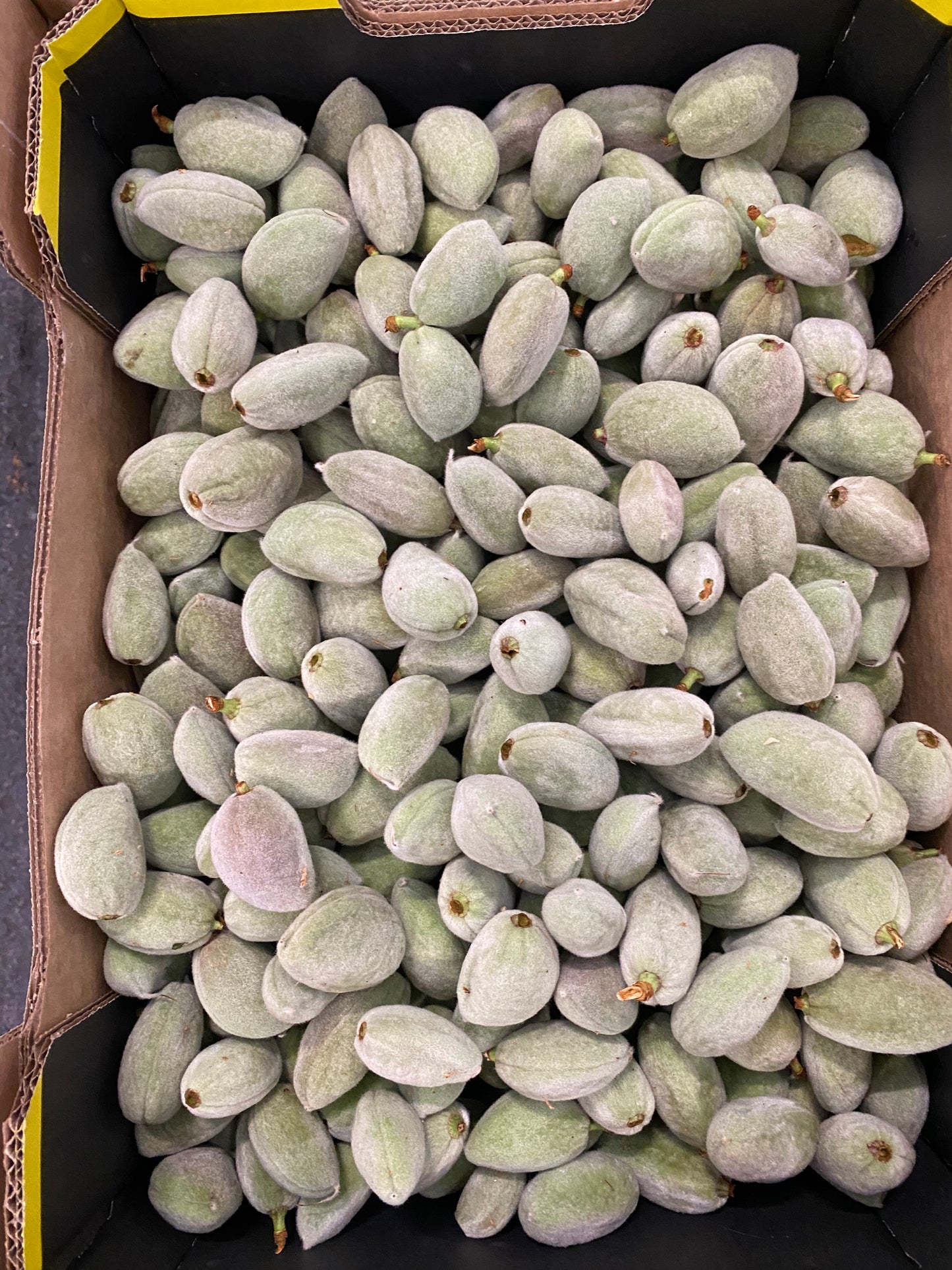 Almond - Green Almond (Unripened) 10kg