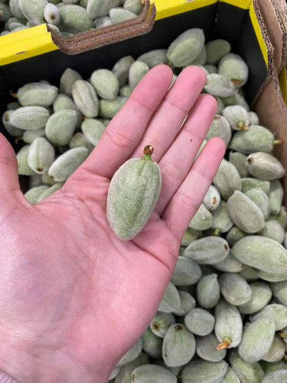 Almond - Green Almond (Unripened) 10kg