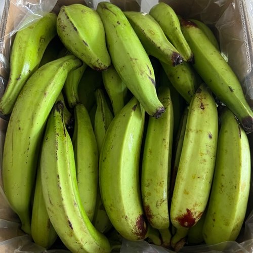 Banana - Horn Plantain