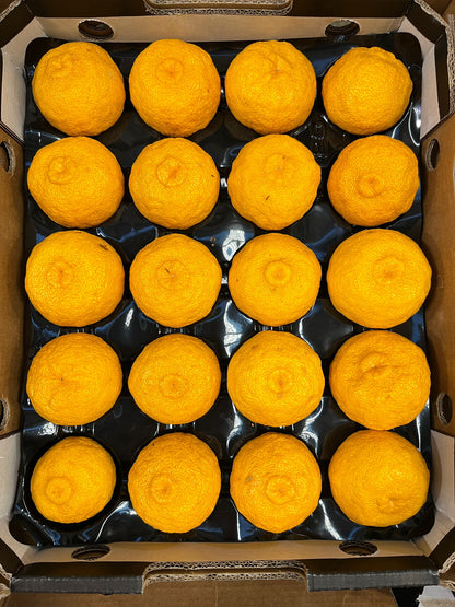 Yuzu - 2kg