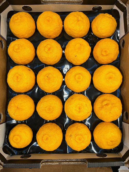 Yuzu - 2kg