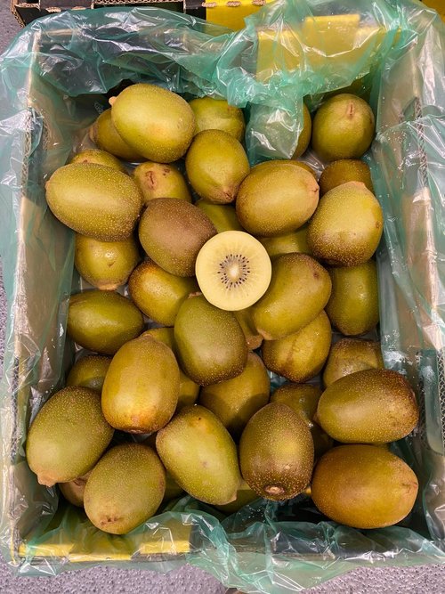 Gold Kiwi Fruit - 5.5kg net (Australian grown)