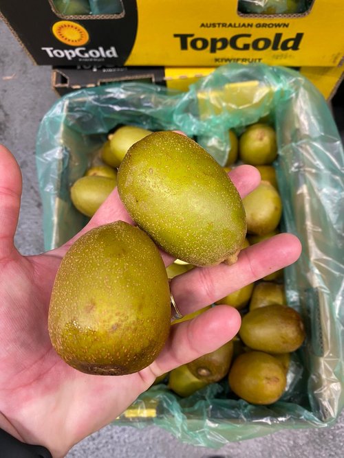 Gold Kiwi Fruit - 5.5kg net (Australian grown)