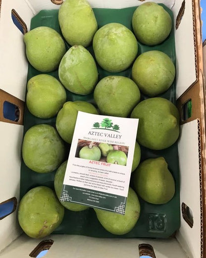 Aztec - White Sapote - 5kg