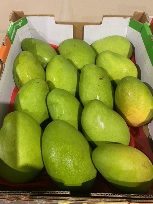 BANGANAPALLI MANGO - 6kg