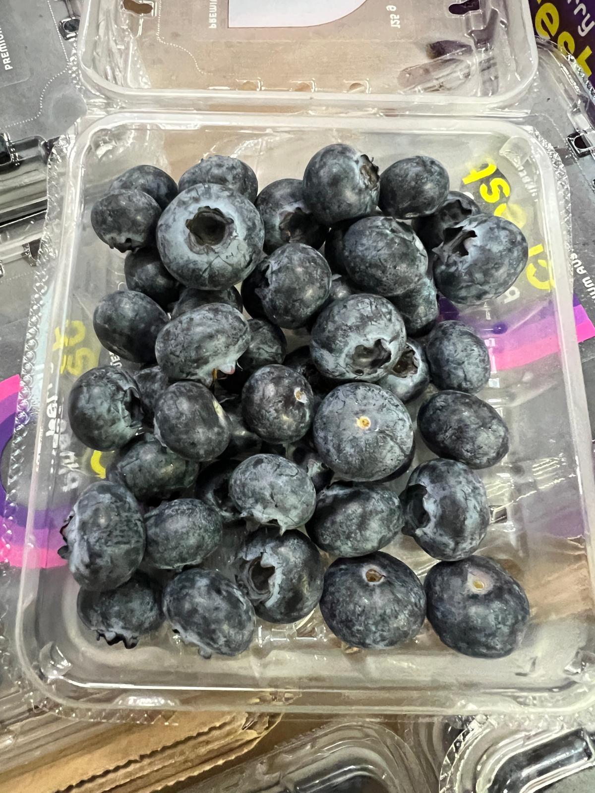 Blueberry - 1.5kg