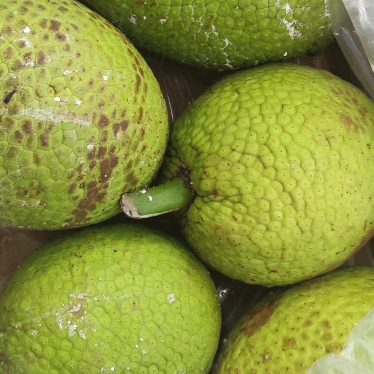 Breadfruit - 12kg Box