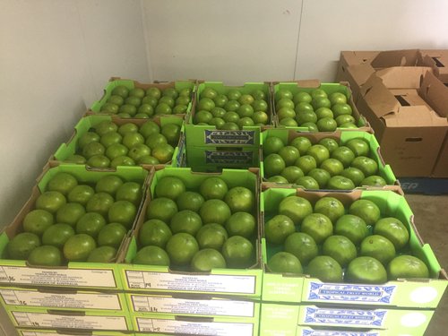 Sapote đen - 5kg