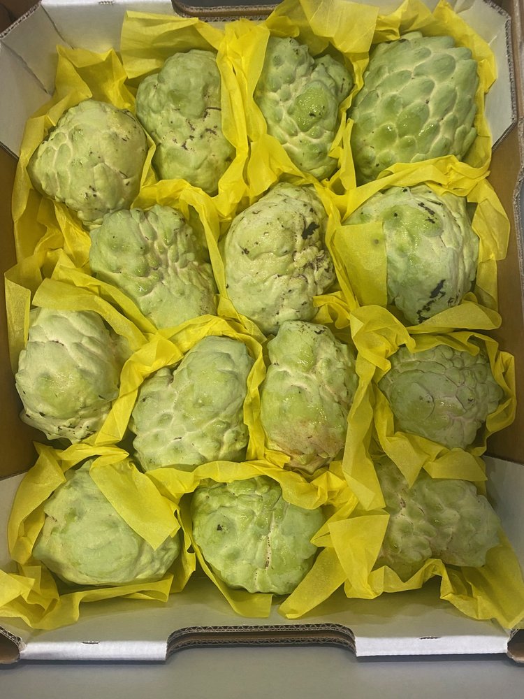 CUSTARD APPLE - 6KG TRAY