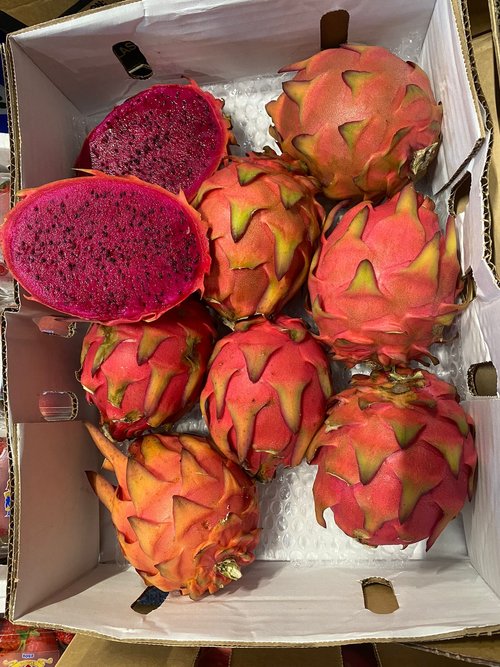 DRAGONFRUIT AUSTRALIAN - MAGENTA 4kg