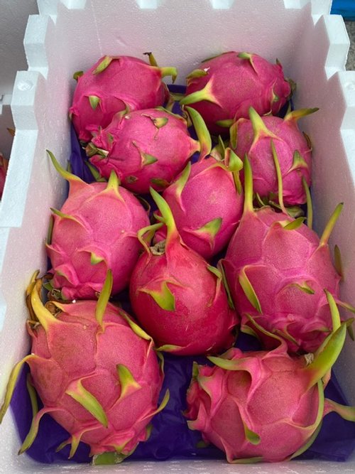 DRAGONFRUIT AUSTRALIAN -PINK LEMONADE 12kg