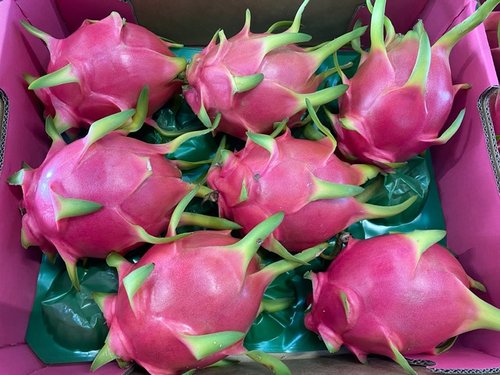 DRAGONFRUIT AUSTRALIAN -WHITE 6kg