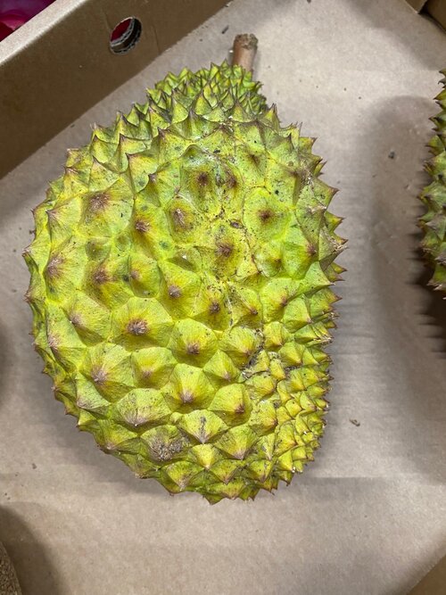 Durian - 8kg Box