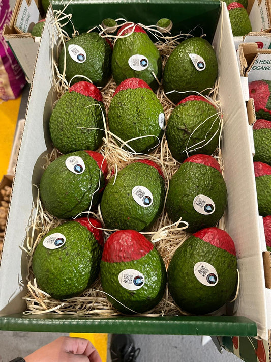 Ecoganic Avocado Hass