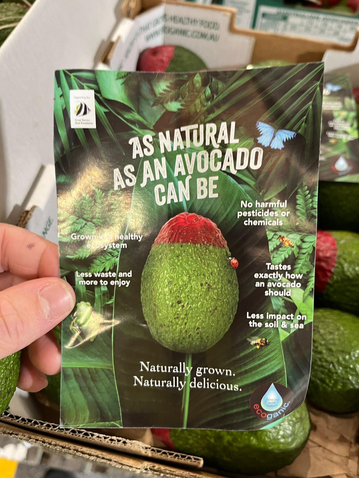 Ecoganic Avocado Hass