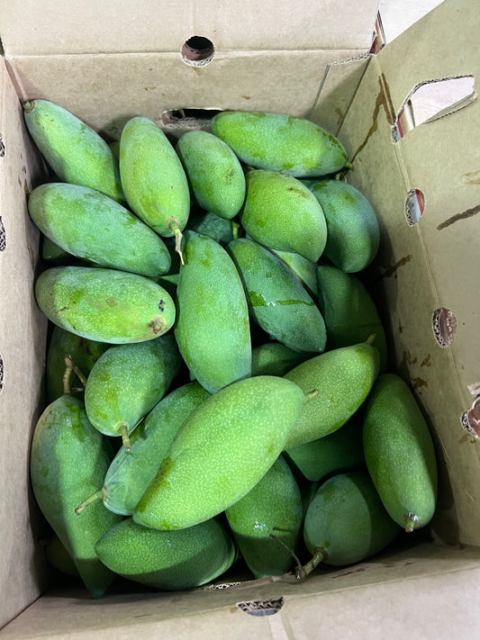 Mango - Falan (Sweet Green)