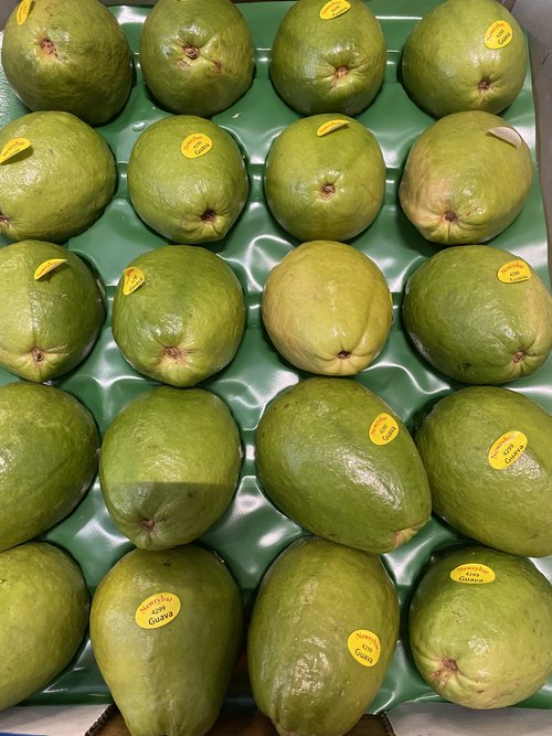 Guava - Pink - 4kg