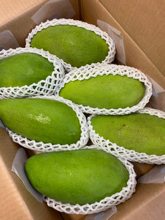 Elephant Mango (Sour Green) Vietnam