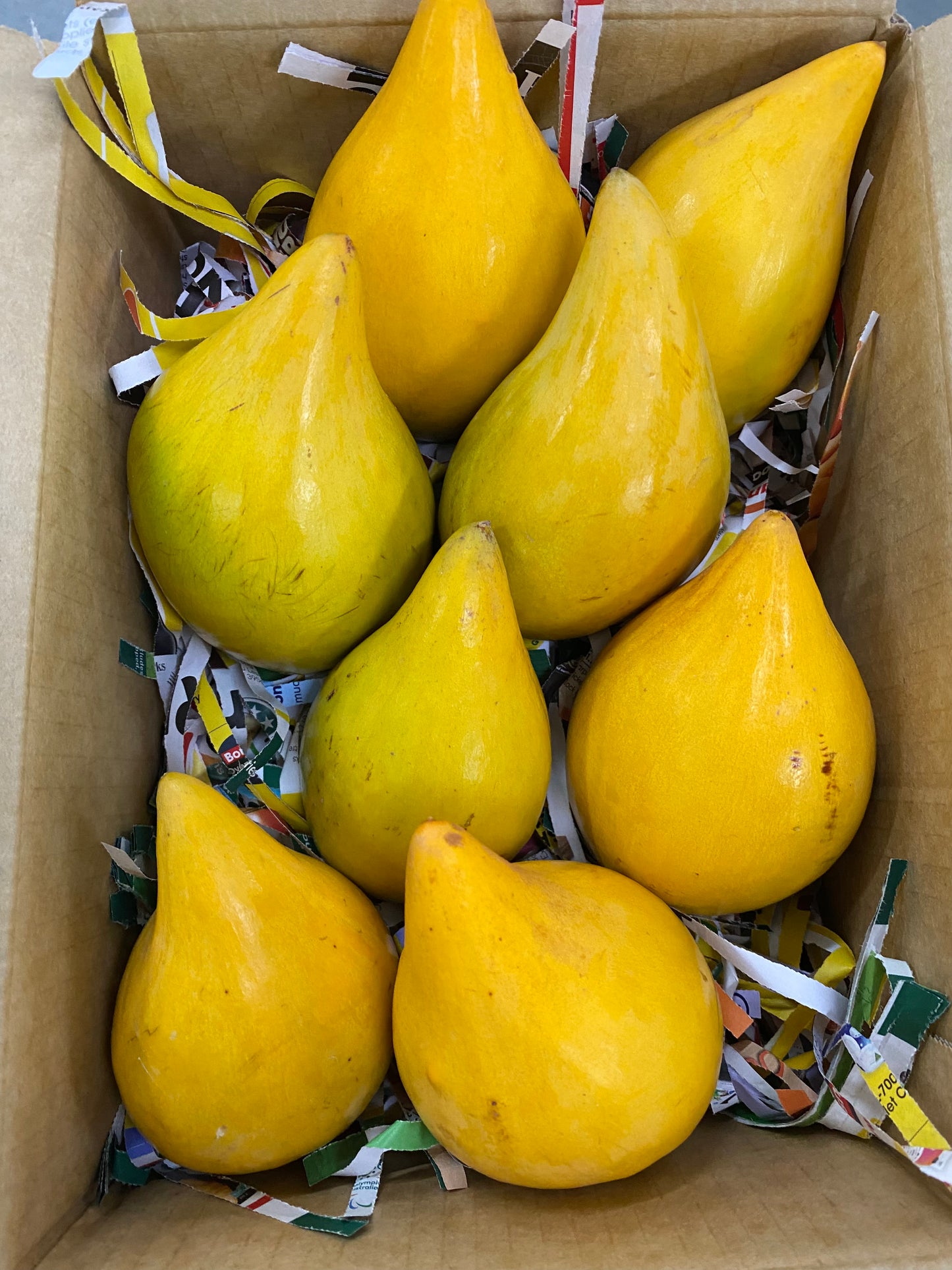 Hộp đựng - 2kg 