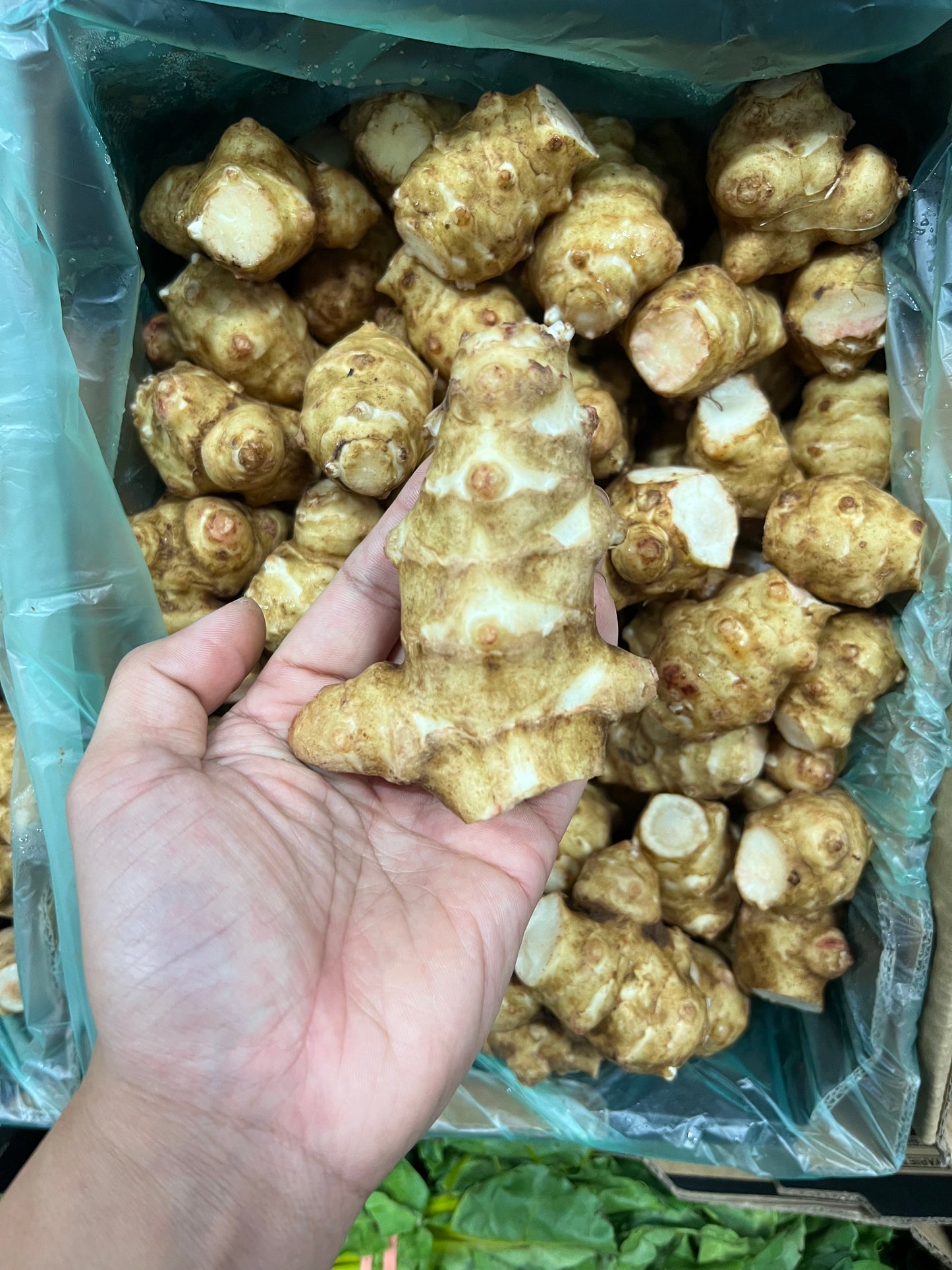 鮮薑（澳洲）- 1kg