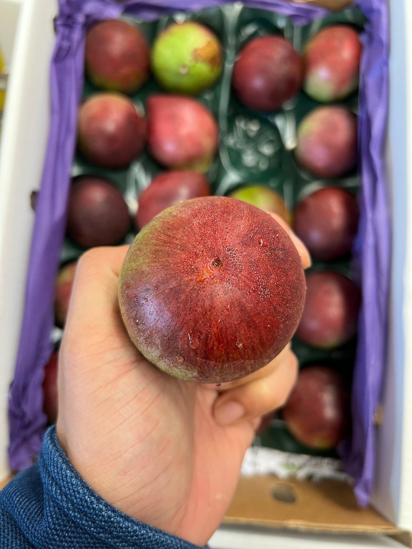 Star Apple Tray