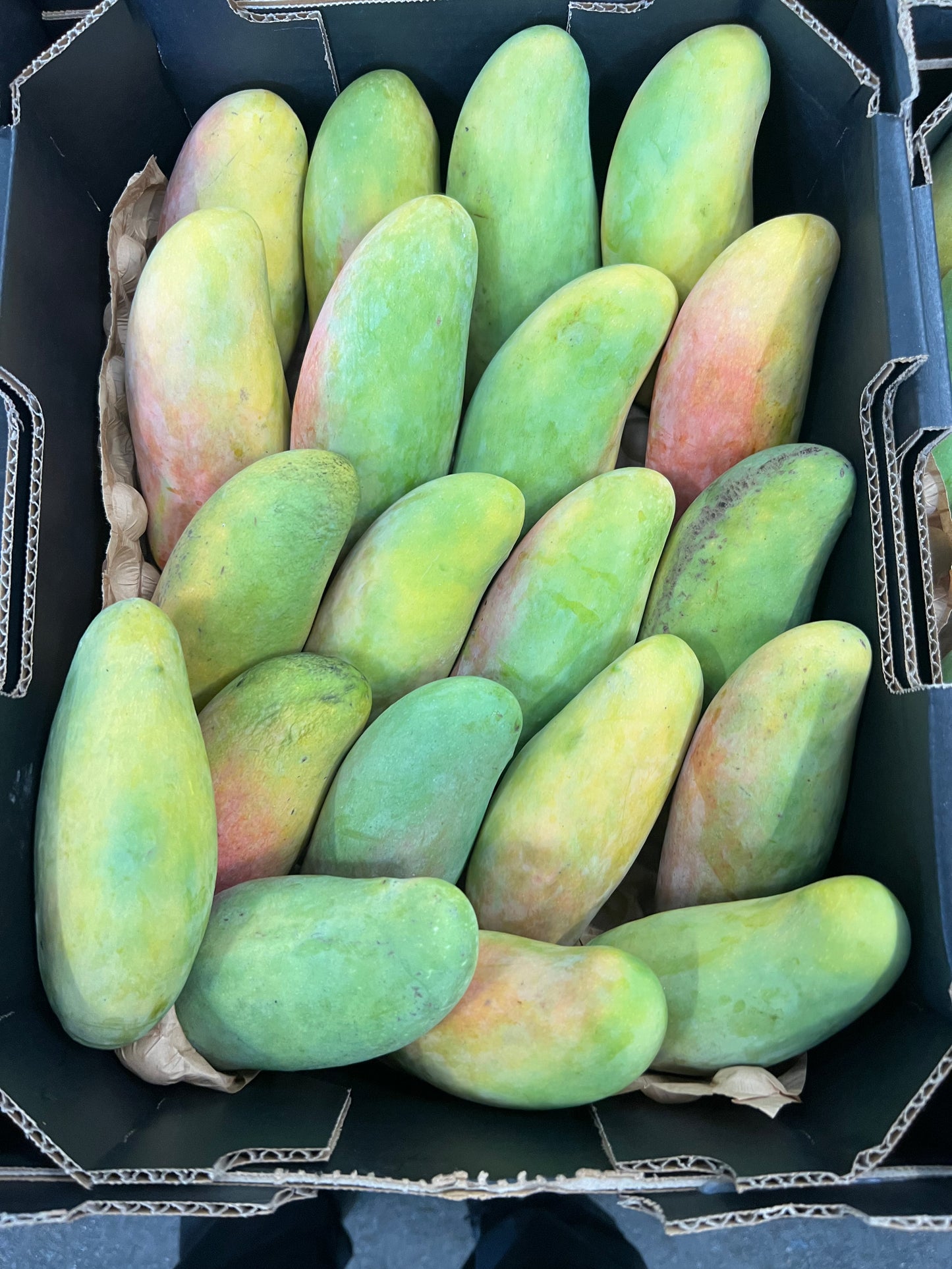 Mango - Maha