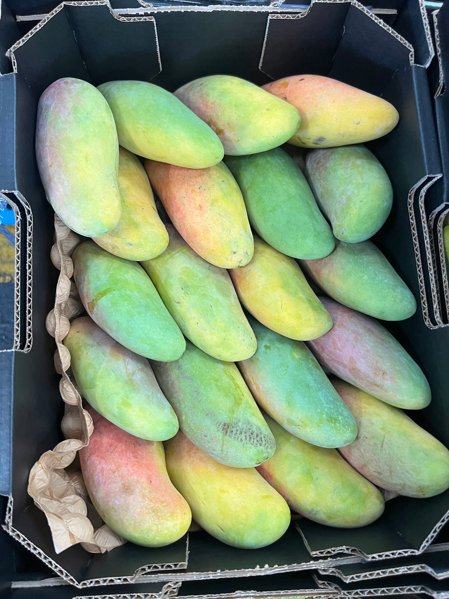 Mango - Maha