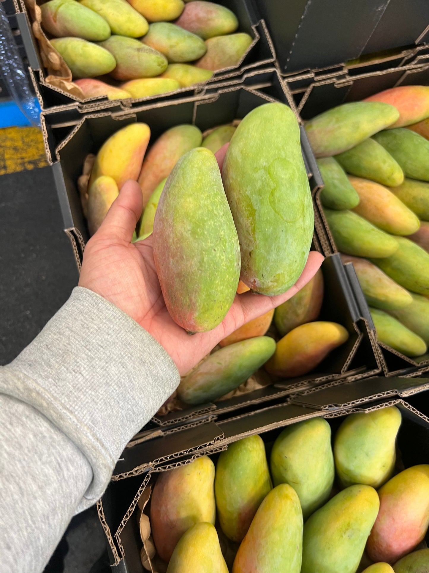 Mango - Maha