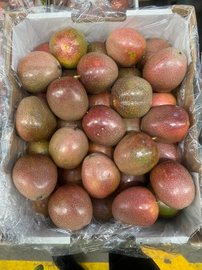 Passionfruit Panama QLD