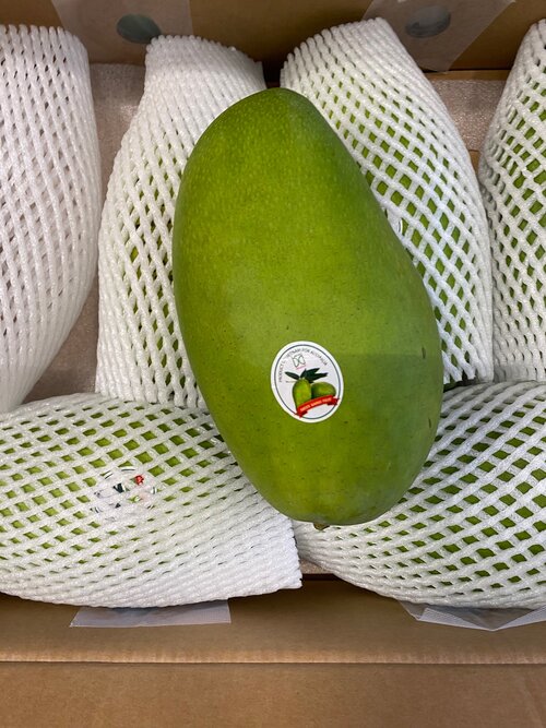 Mango - Golden Queen (Green) - 5kg – Produce Art