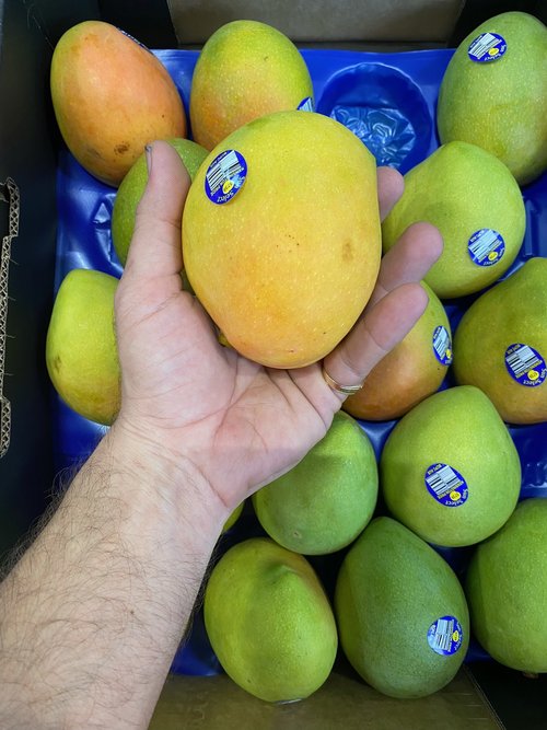 Mango Kensington Pride - 9,5kg (số lượng lớn)