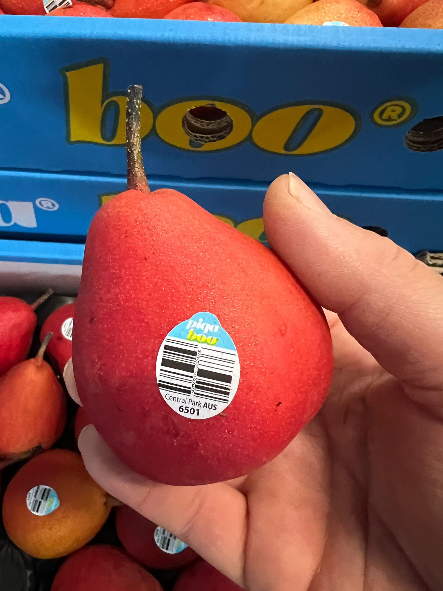 Piqaboo Pear - 5kg