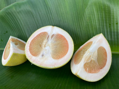 Pomelo - (Yellow Flesh) - 12kg