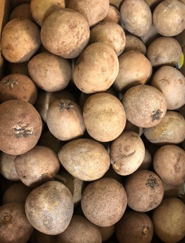 Sapodilla 