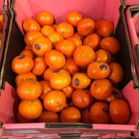 Seedless Afourer Mandarin (9KG+)