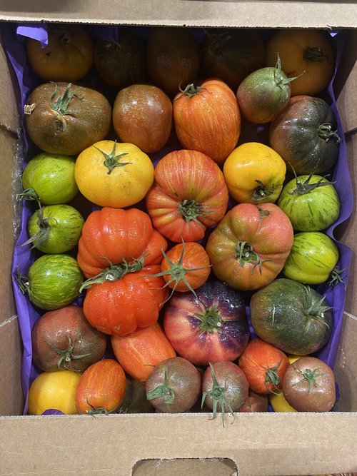 Tomatoes Heirloom (Mixed) - 3kg