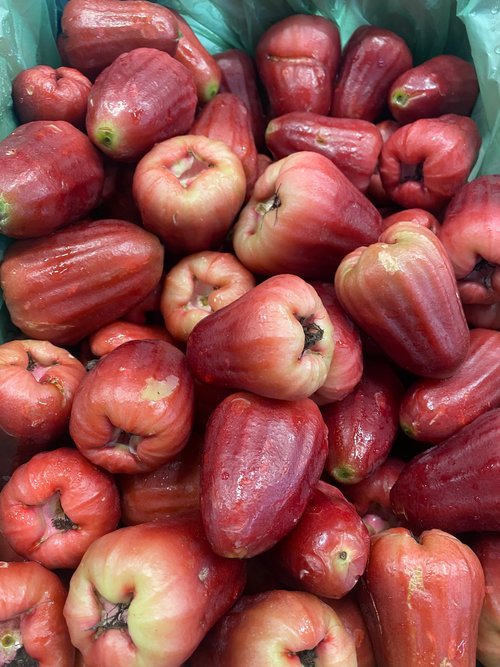 Wax Jambu - 8kg (SEQ ONLY)