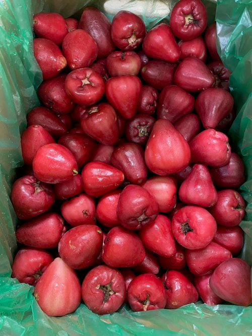 Wax Jambu - 8kg (SEQ ONLY)