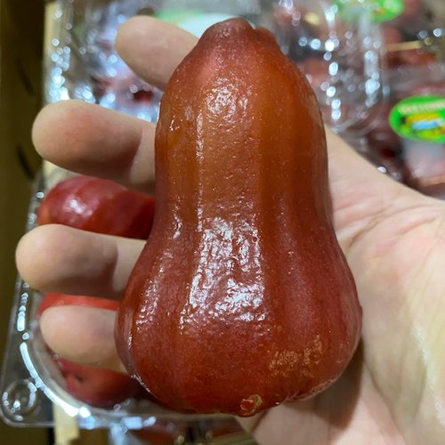 Wax Jambu