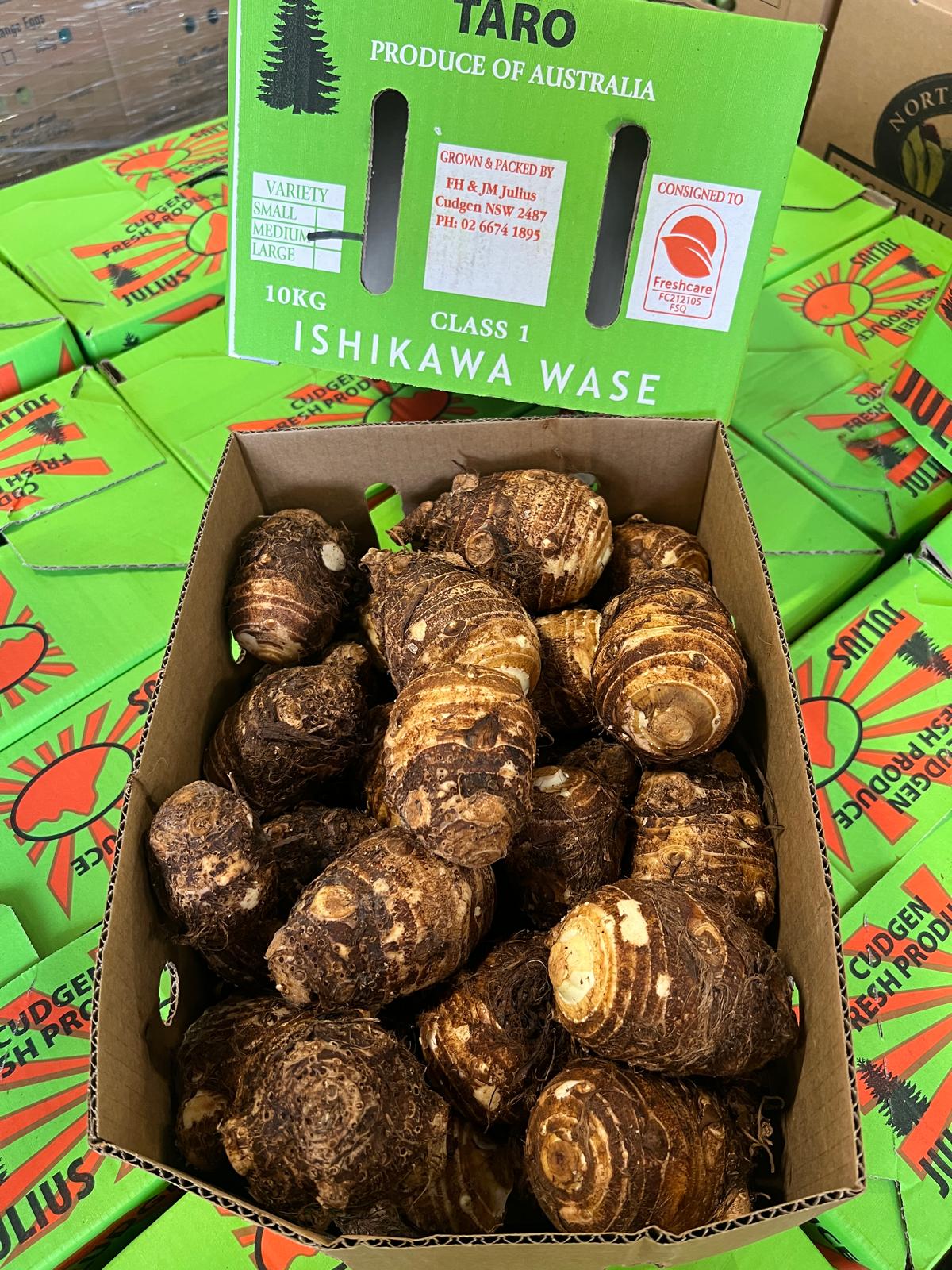 Taro - Ishikawa