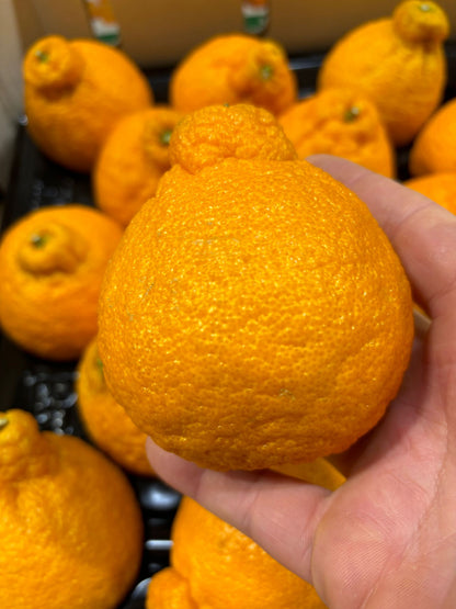 Satsuma Orange Dekapon - 6KG