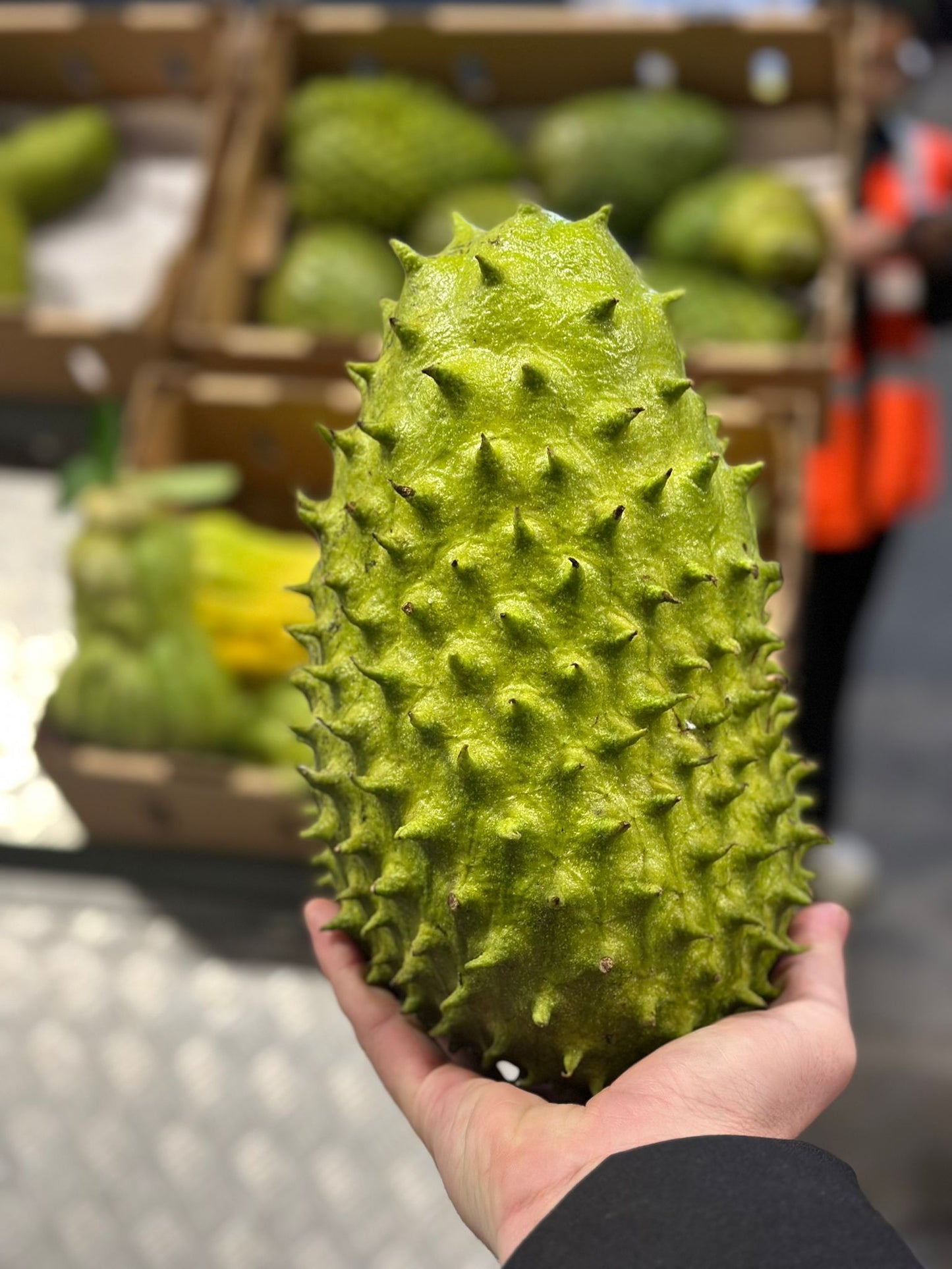 SOURSOP（樹上成熟）- 12 公斤