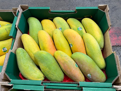 Mango - Mahachanok (King Thai)