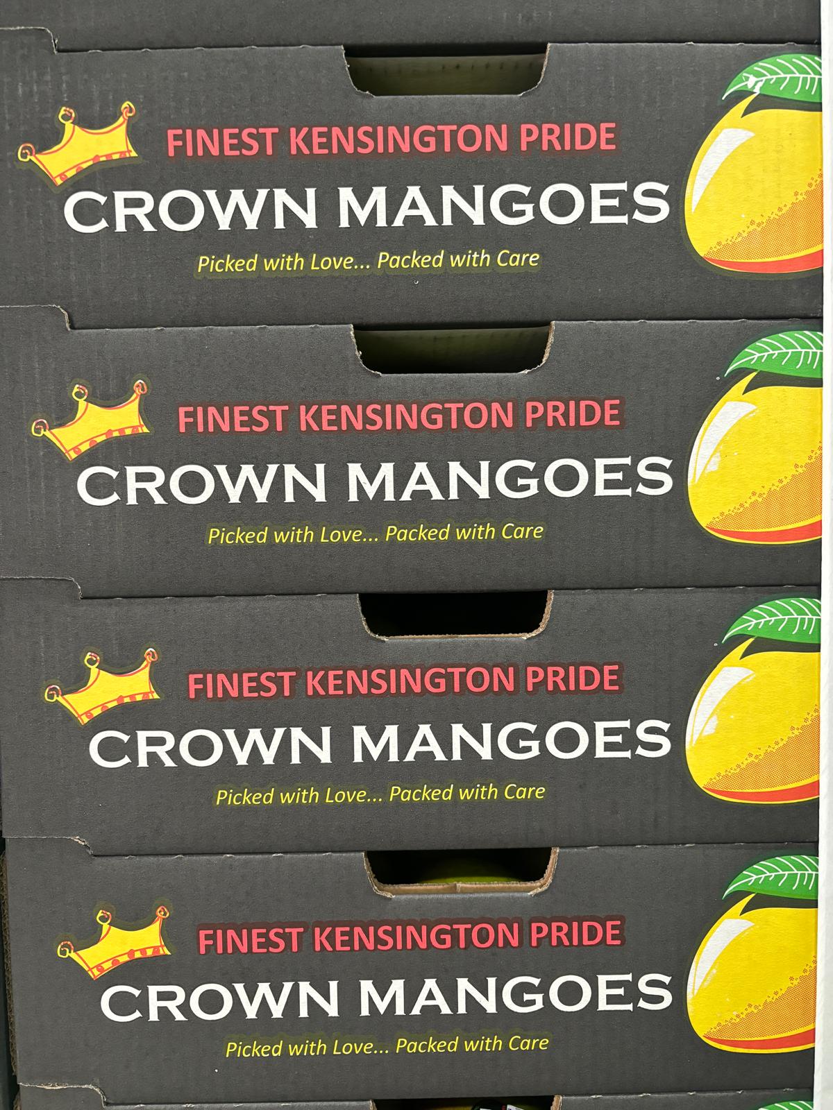 Mango Kensington Pride (Crown Mango) Premium Tray