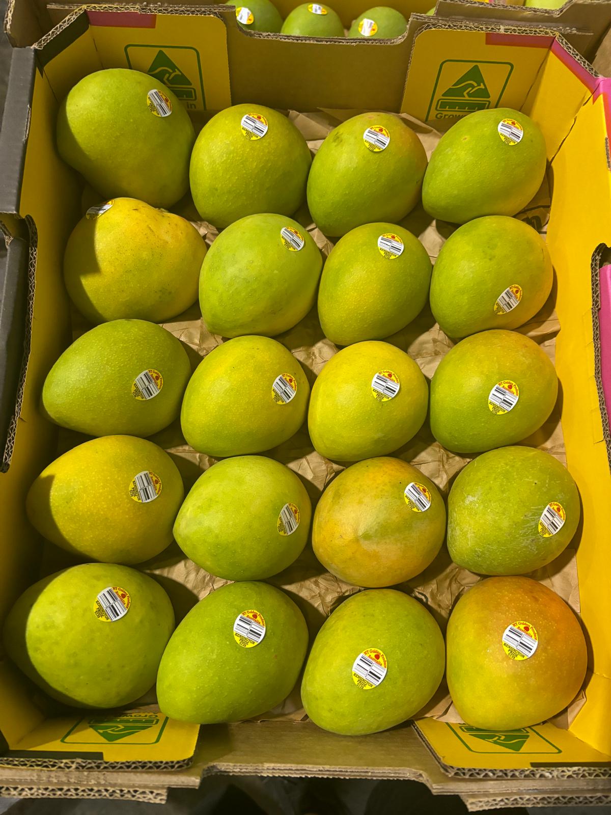 Mango Kensington Pride - 9,5kg (số lượng lớn)