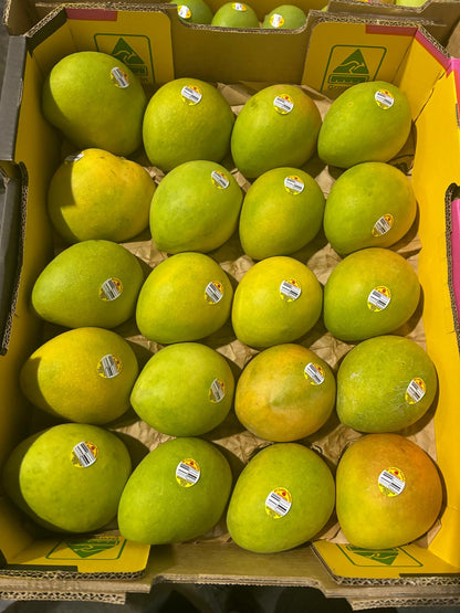 Mango Kensington Pride - 9,5kg (số lượng lớn)