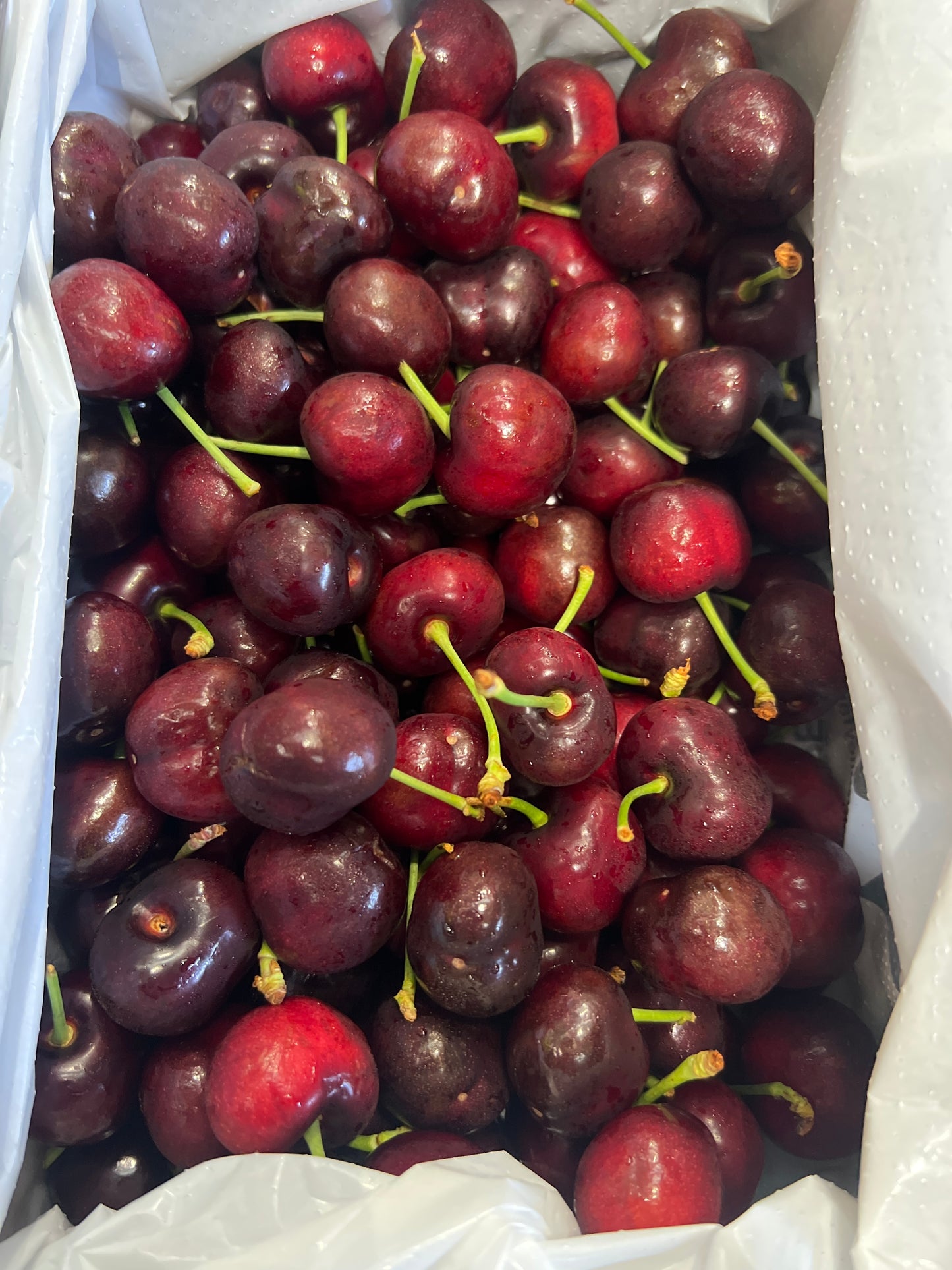 Cherry - Wandin Valley Farms