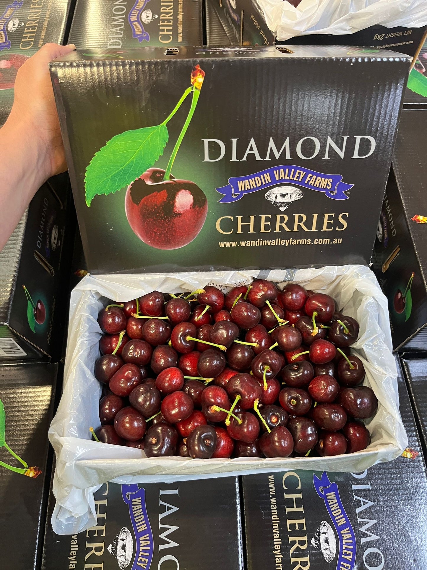 Cherry - Wandin Valley Farms