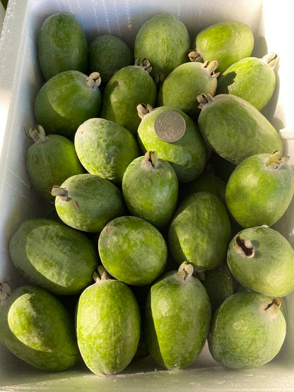 FEIJOA 5KG