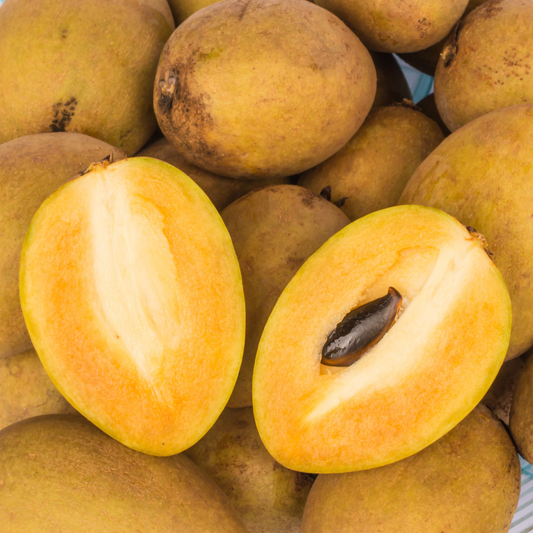 Sapodilla